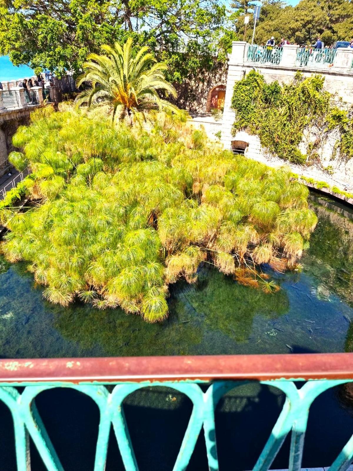 Dolce Rame Ortigia Apartment Syracuse Ngoại thất bức ảnh